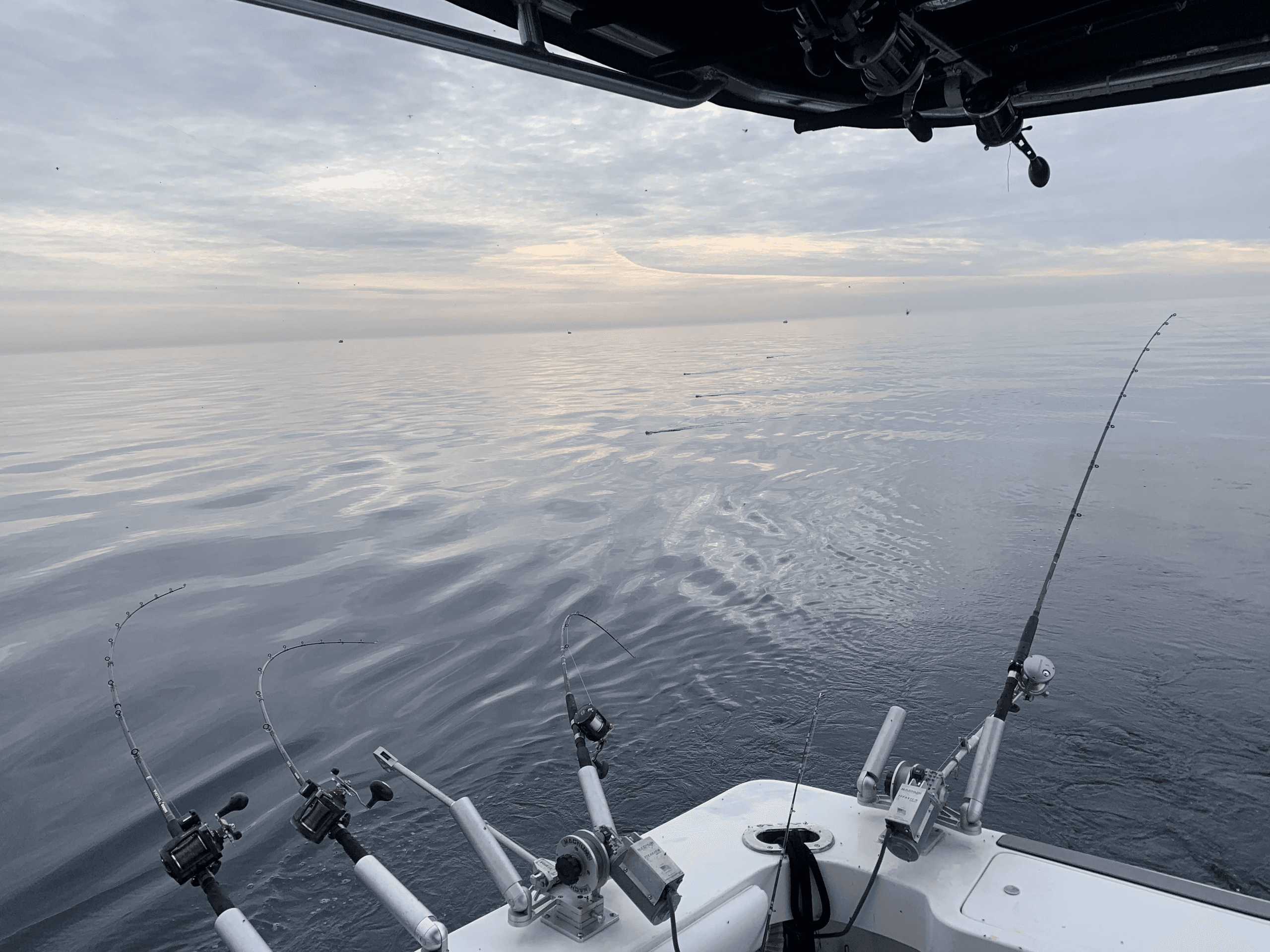 Private Weekday Fishing Charter on Lake Michigan in Winthrop Harbor