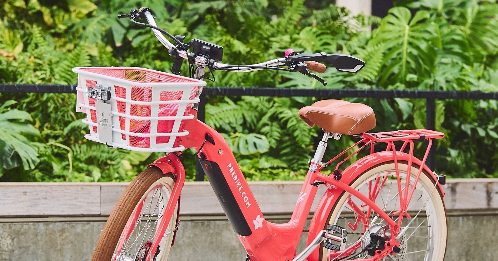 Explore Palm Beach on a 3-Hour Self-Guided Ebike Adventure