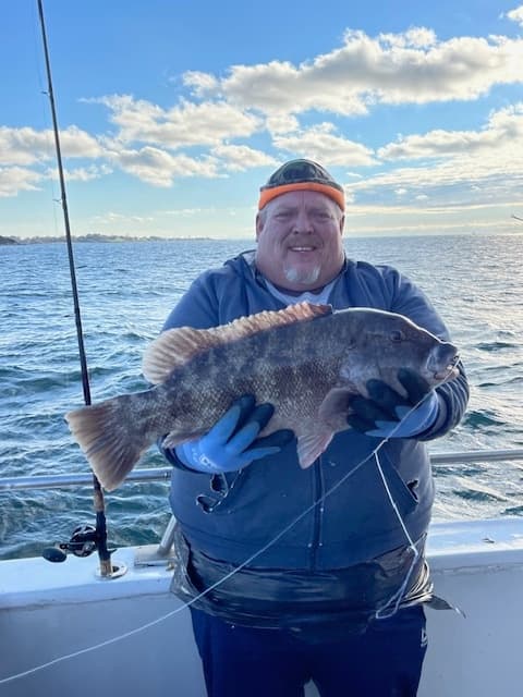 Full Day Blackfish Trip in Greenwich, Connecticut