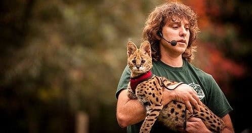 Educator holding serval cat outdoors during wildlife demo