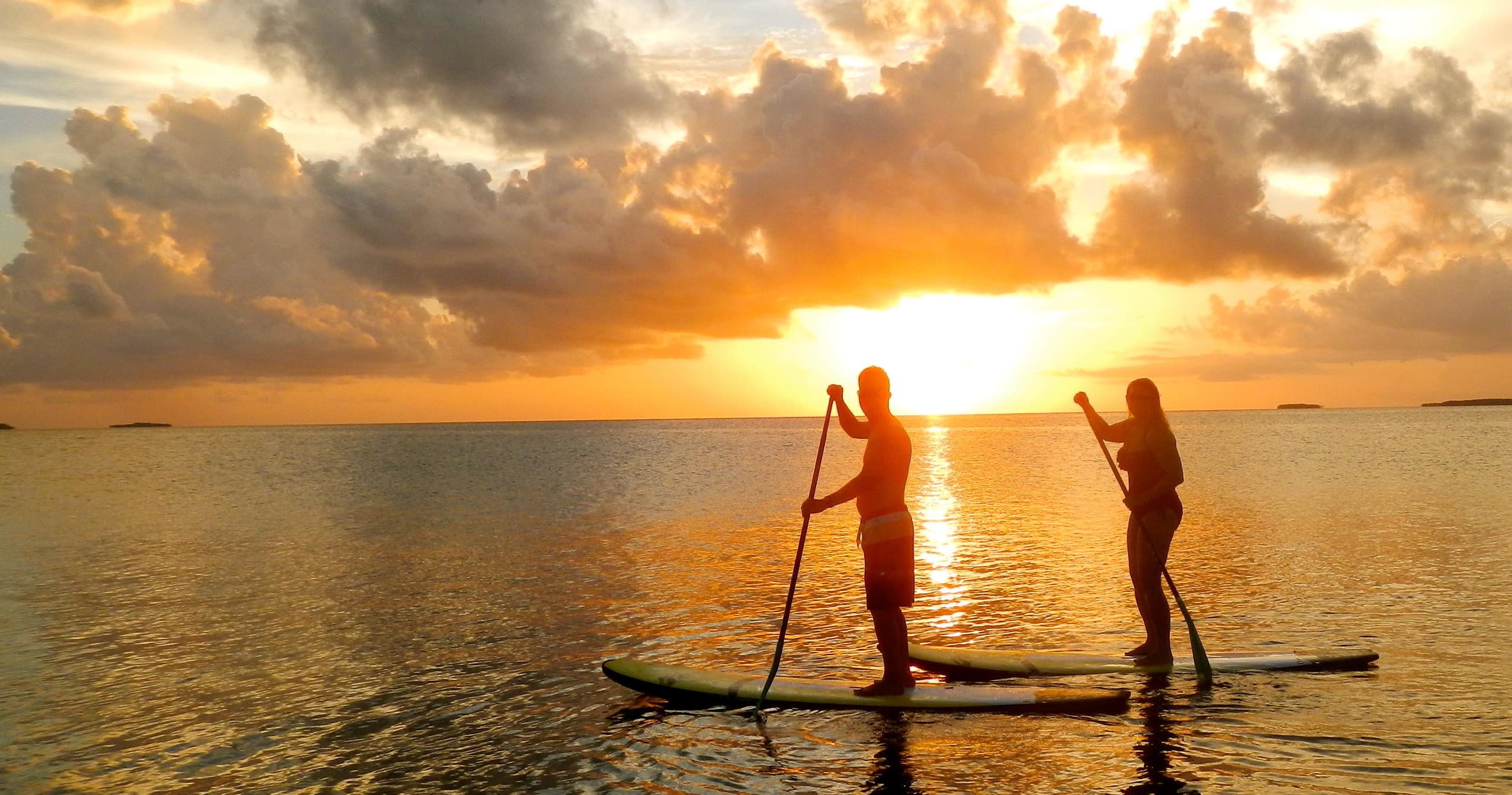 Sunset paddleboard silhouettes on calm tropical ocean