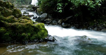 Mossy mountain stream flowing through tropical rainforest creek