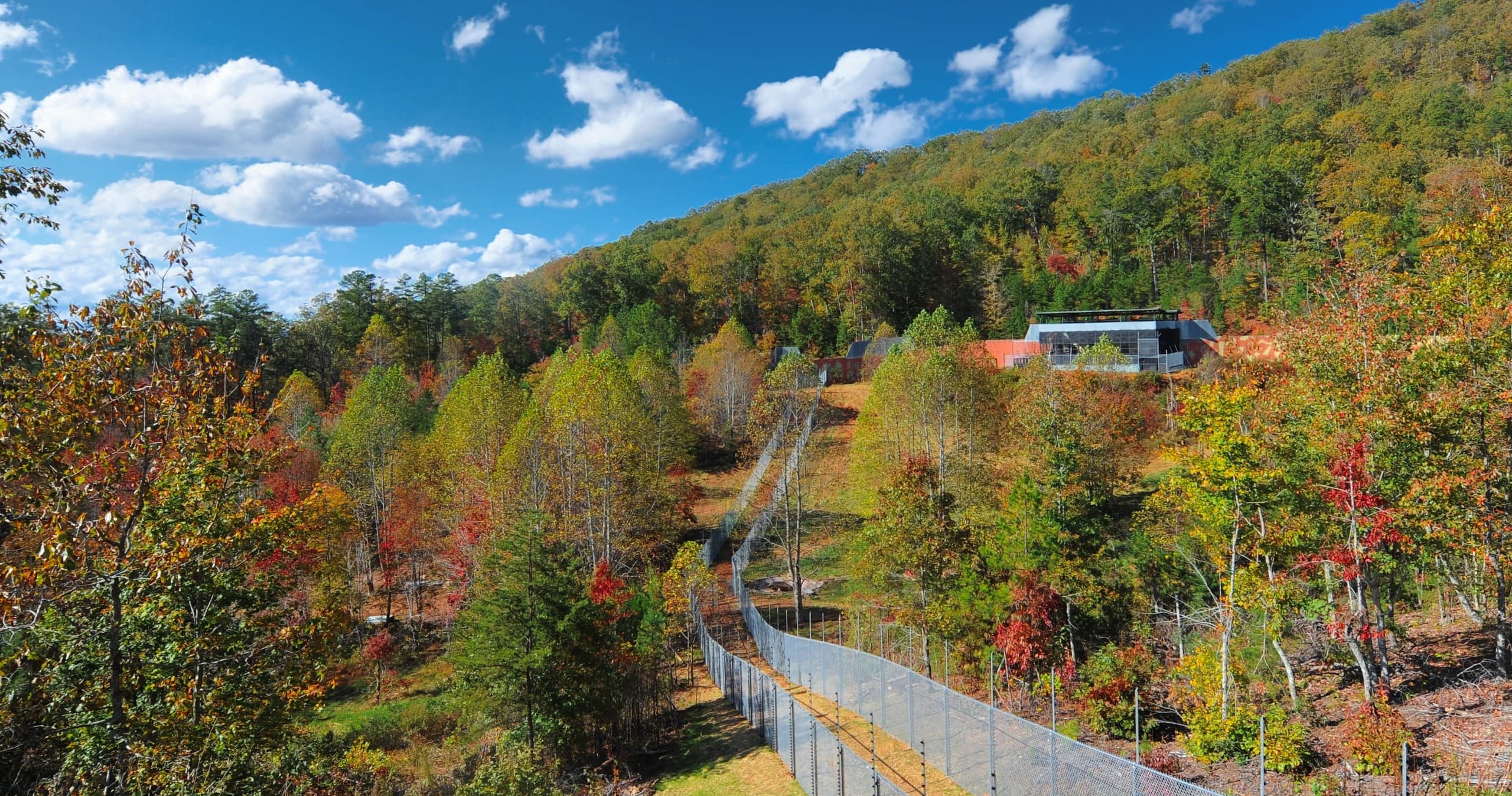Walking Tour in Benton, Tennessee
