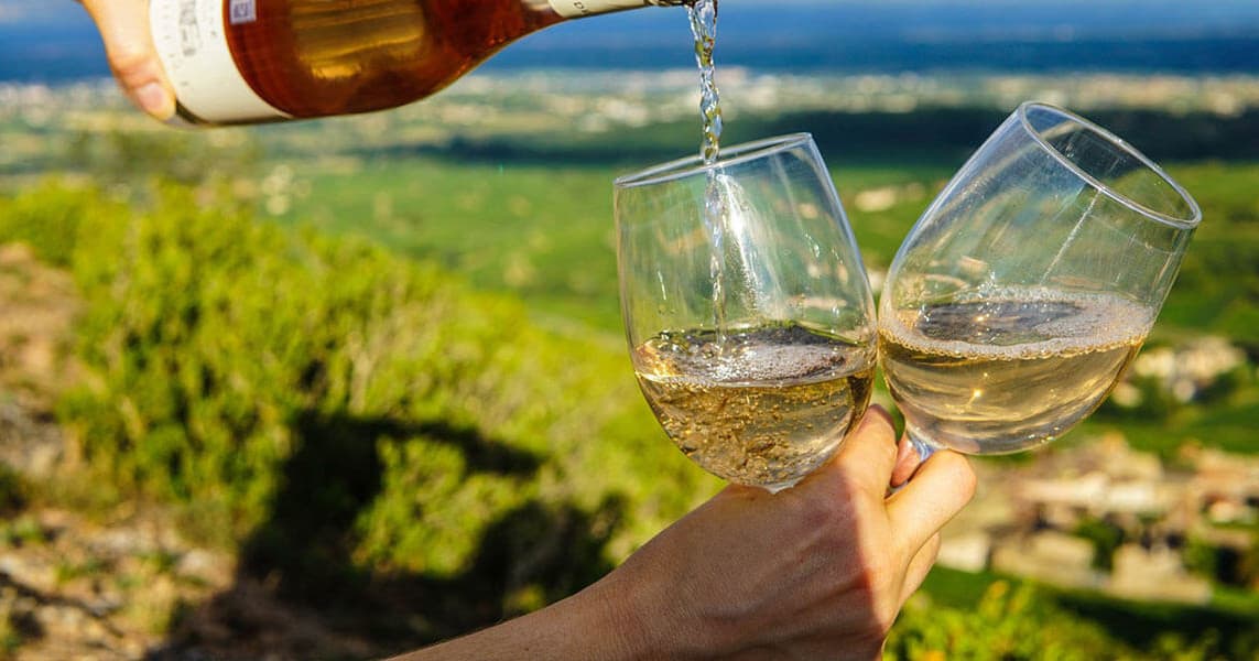 Outdoor Adventure & Wine Tasting Business - Spanish Trails in Penedès