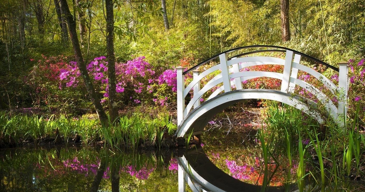 Arched garden bridge reflected in pond, tranquil park scene