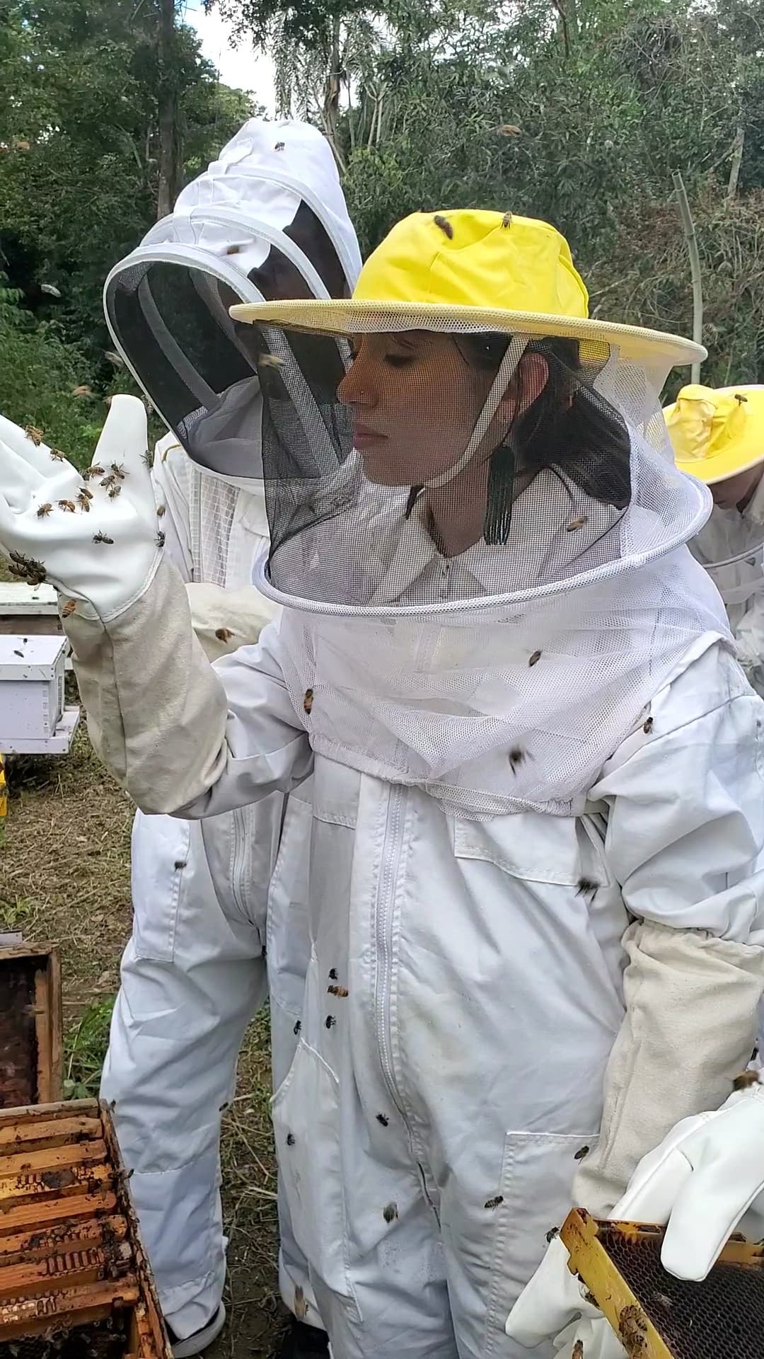 Hands-On Beekeeping in San Lorenzo: Honey, Hives, and Farm Practice photo 1