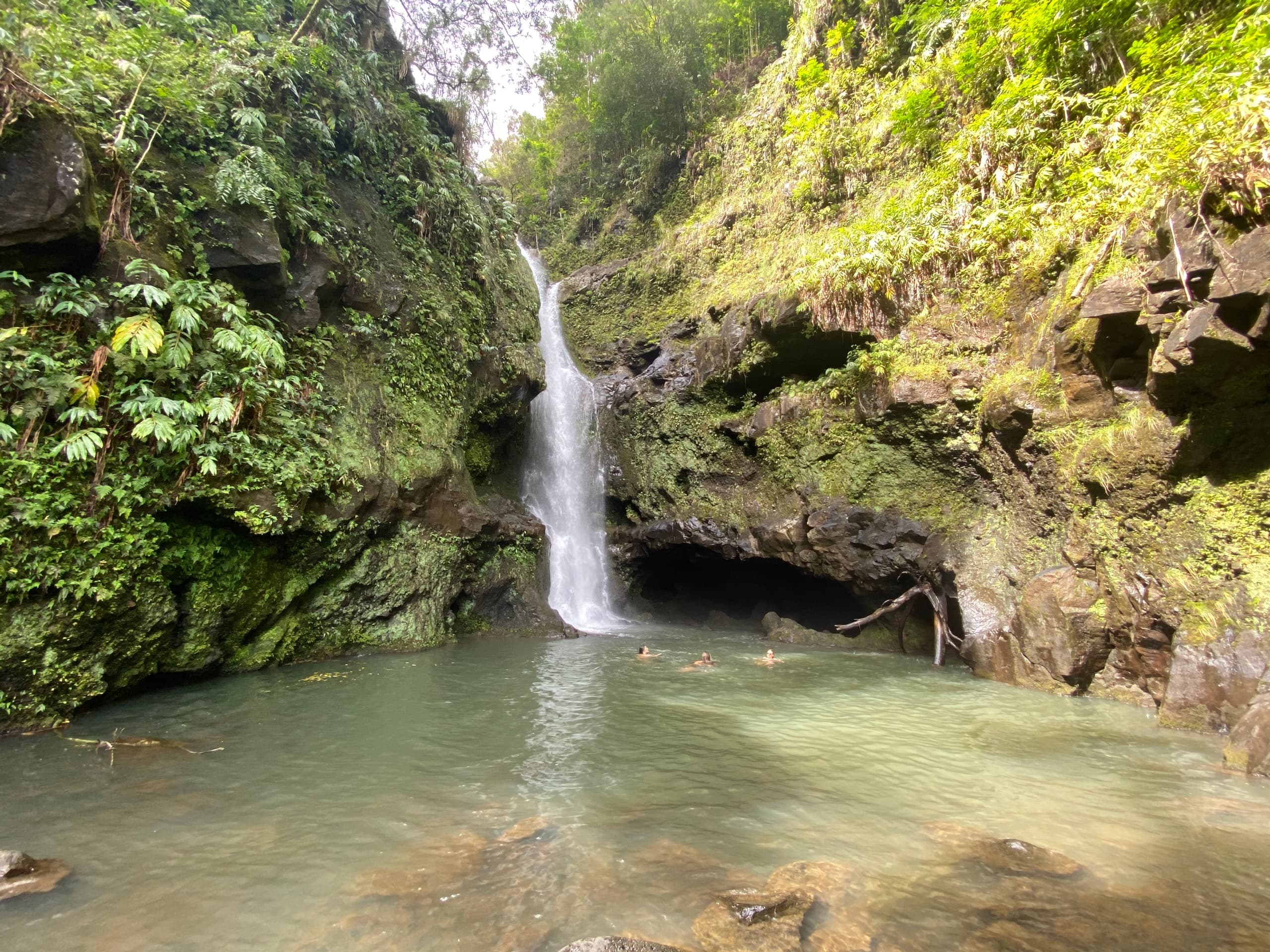 Secluded waterfall pool in lush canyon, swimming and hiking spot