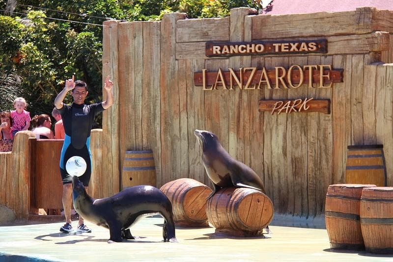 Water Activities at Rancho Texas Lanzarote Park