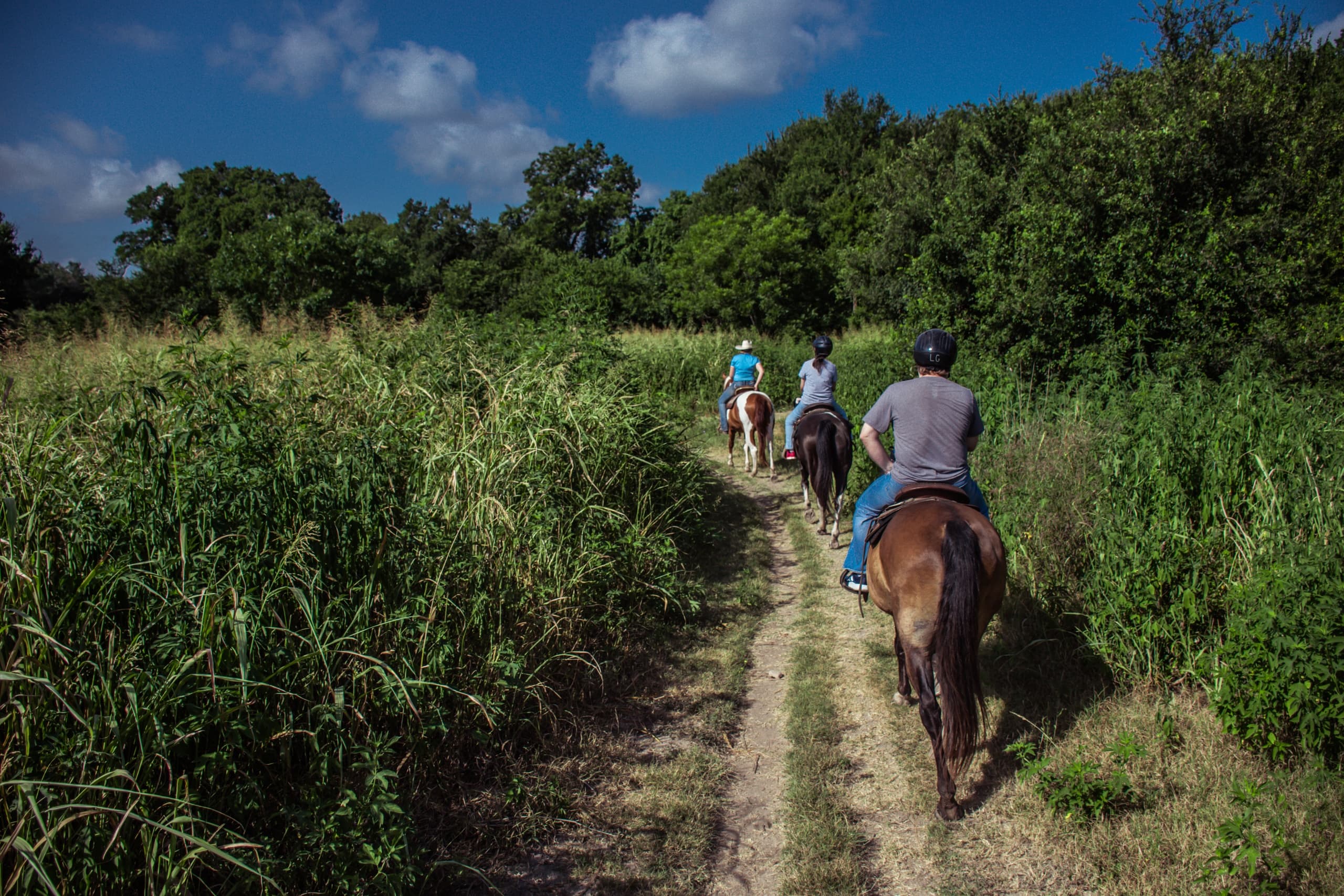 Summer Renegade Group Riding Lesson in Austin, TX