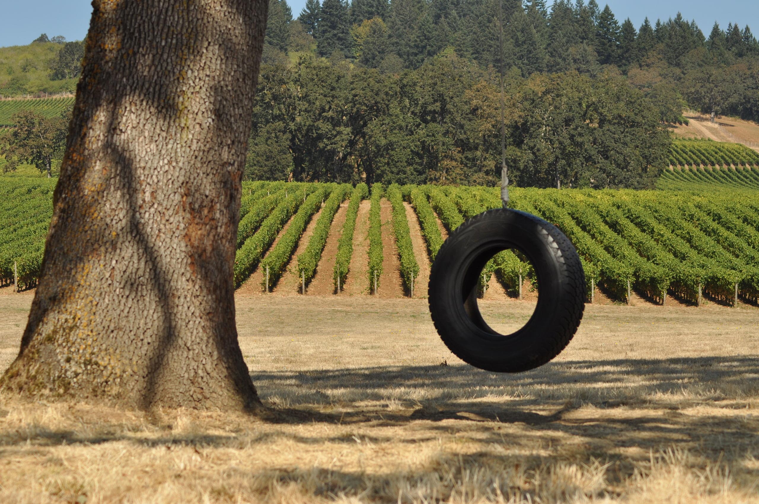 Land Adventures in Willamette Valley Wine Country with Joinable Tours