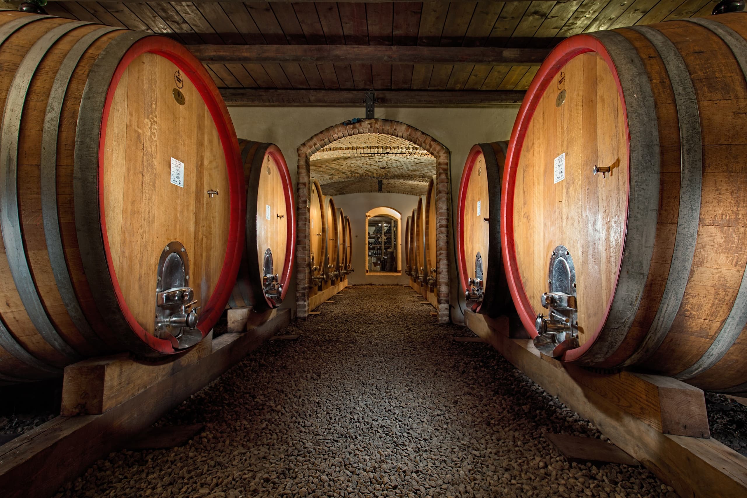 Wine Tasting with Hidden Experiences in La Morra