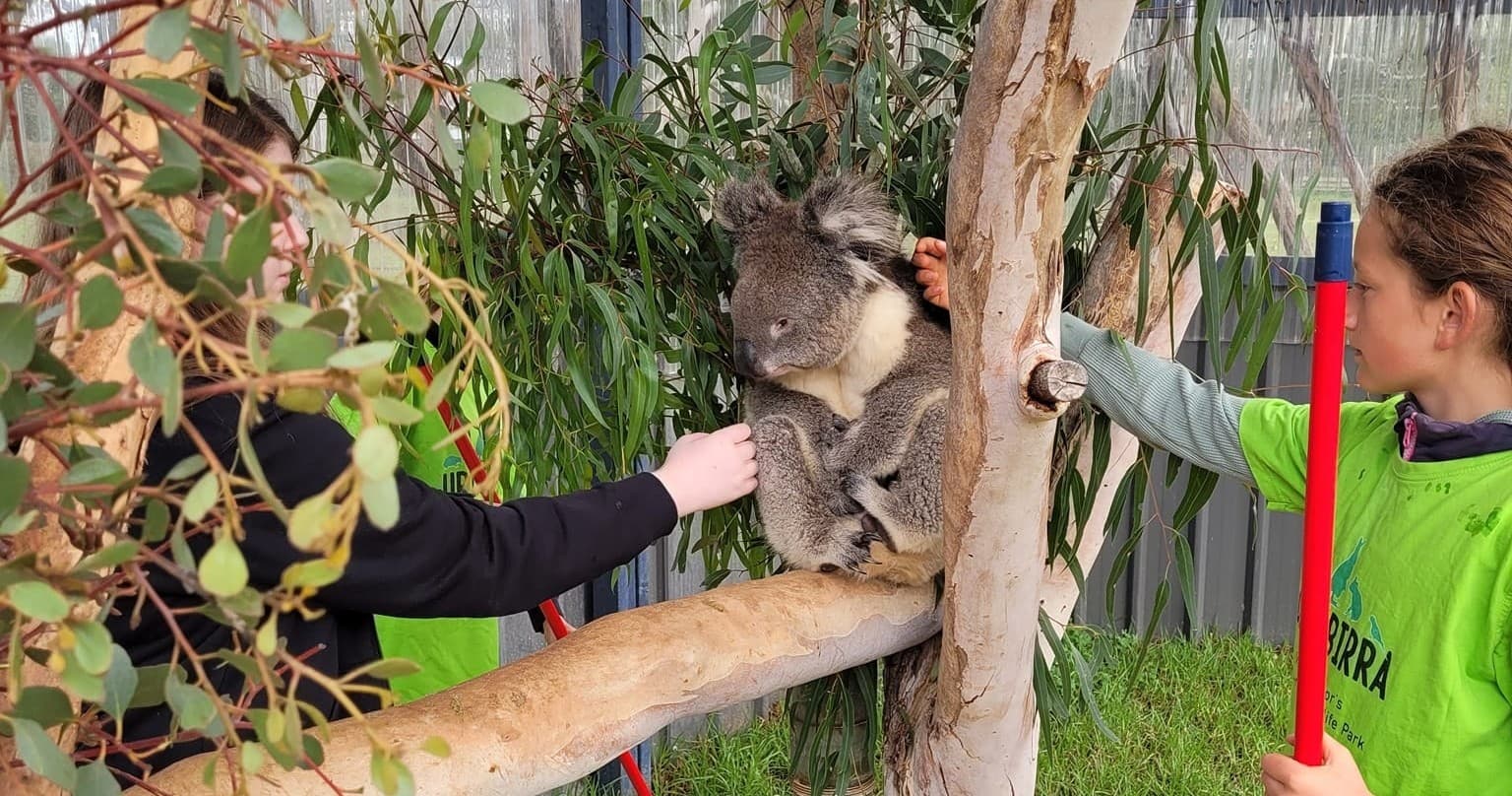 Wildlife & Conservation Trip at Urimbirra Wildlife Park