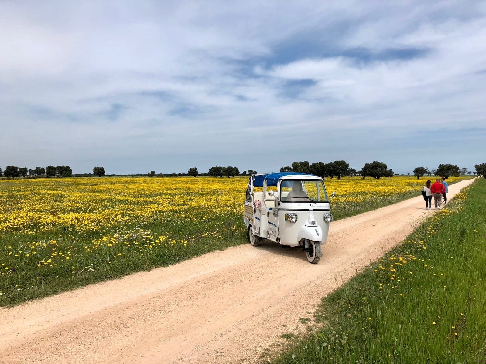Ape tuk-tuk driving down rural dirt road through wildflowers