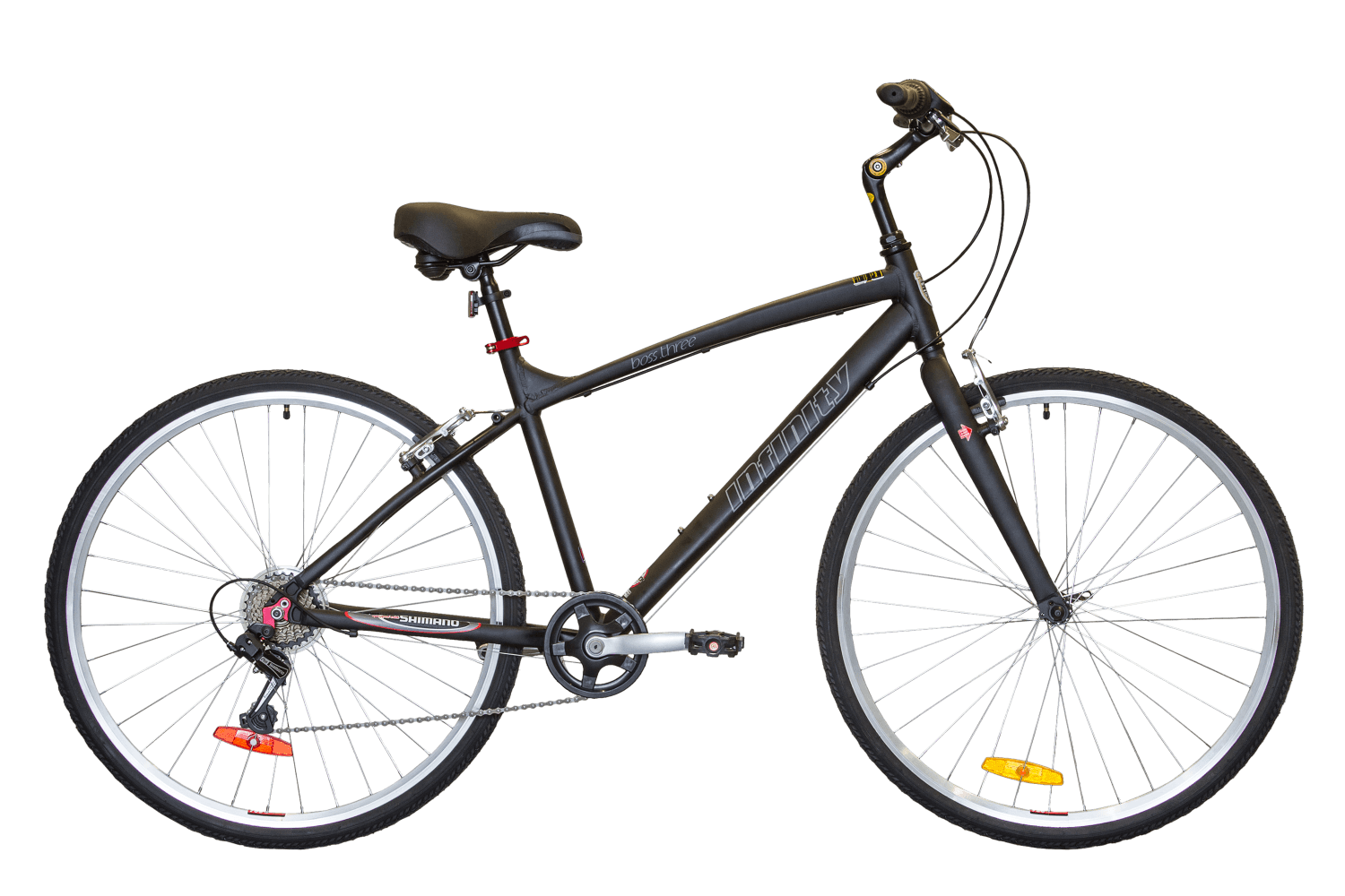 Adult Step Over Bike Rental in Union Pier, Michigan