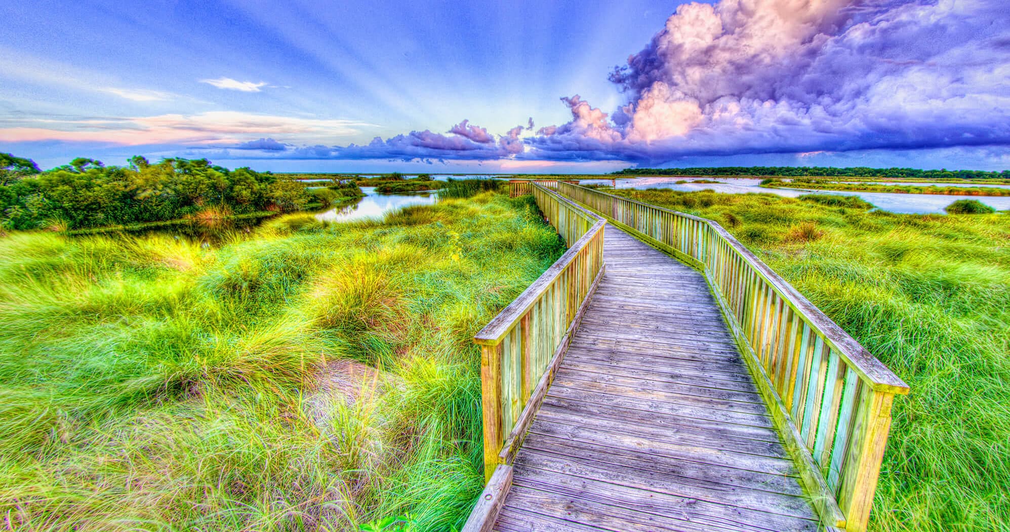 Pearls of Lake Pontchartrain: Bucktown Marsh, Lighthouse & Lakefront Airport Tour