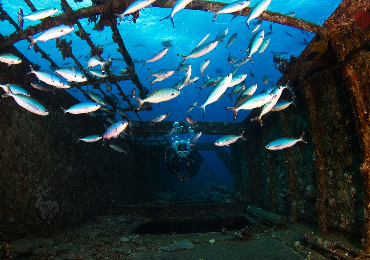 PADI Specialty Wreck Diver