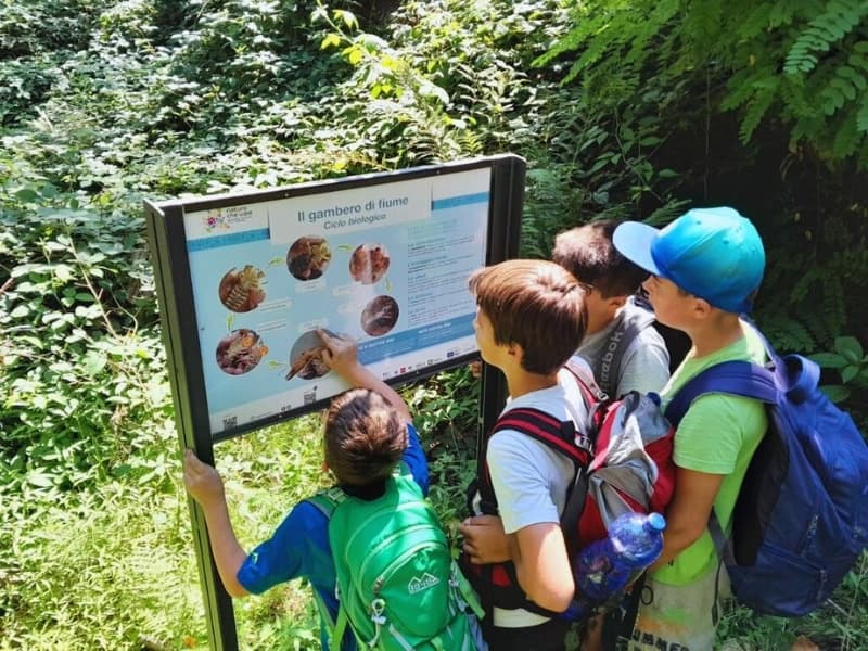Summer Nature Camp & Survival Skills at Spina Verde