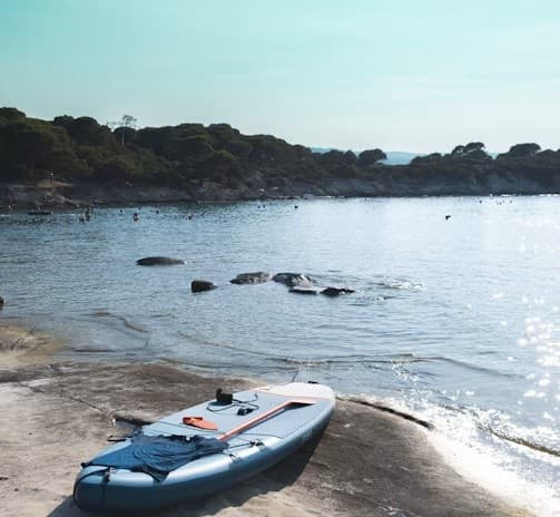 Panama City Paddleboard Rental: Regular Paddleboard for Coastal Exploration