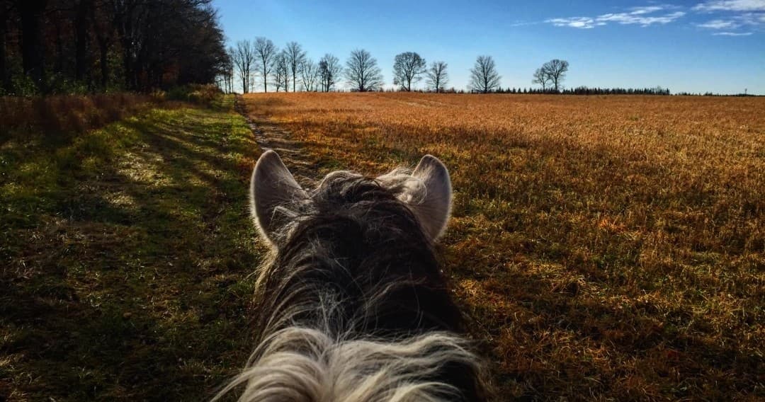 Land Adventures with Conestogo River Horseback Adventures