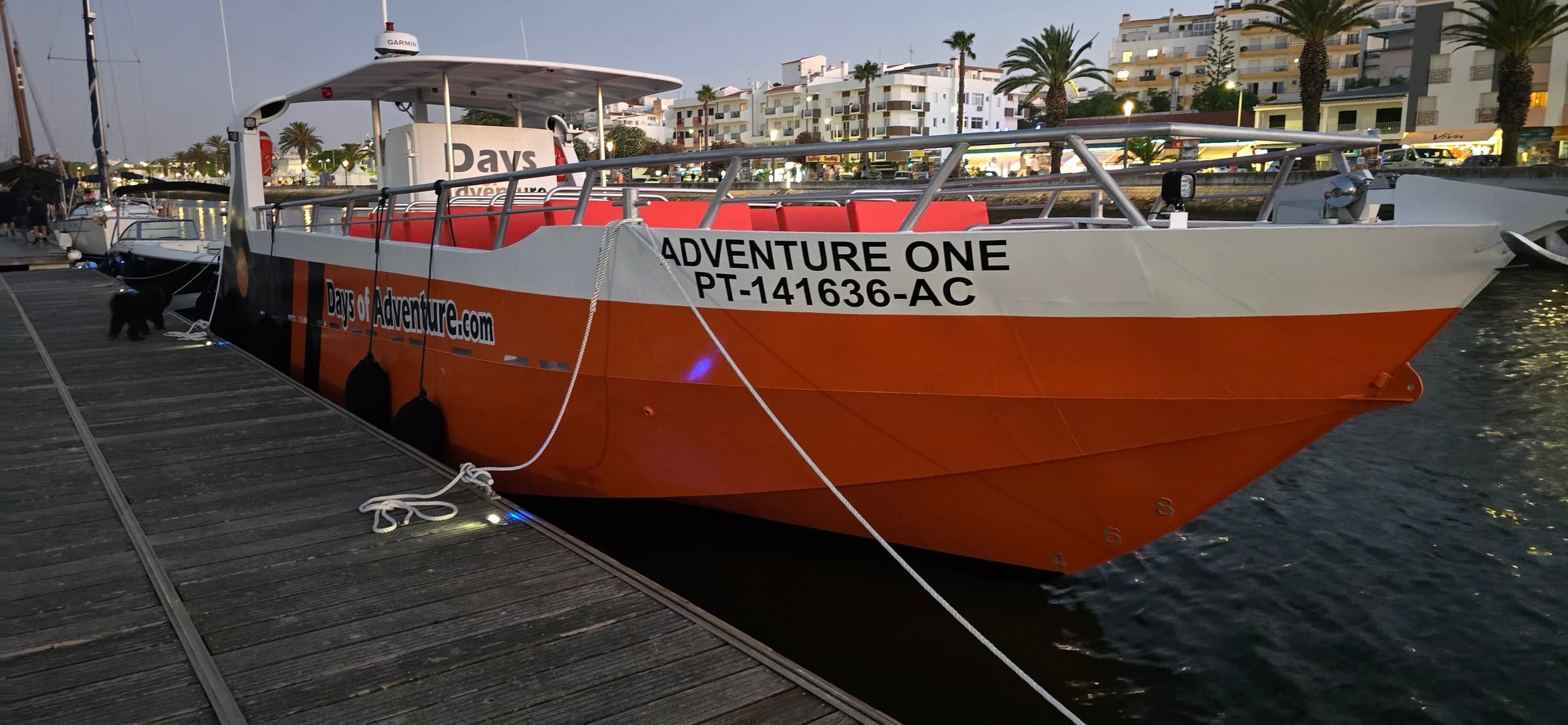 Dolphin Watching & Benagil Cave Trip with Days of Adventure