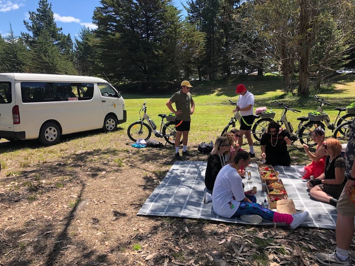 Bike Adventures with The Gentle Cycling Company in Nelson