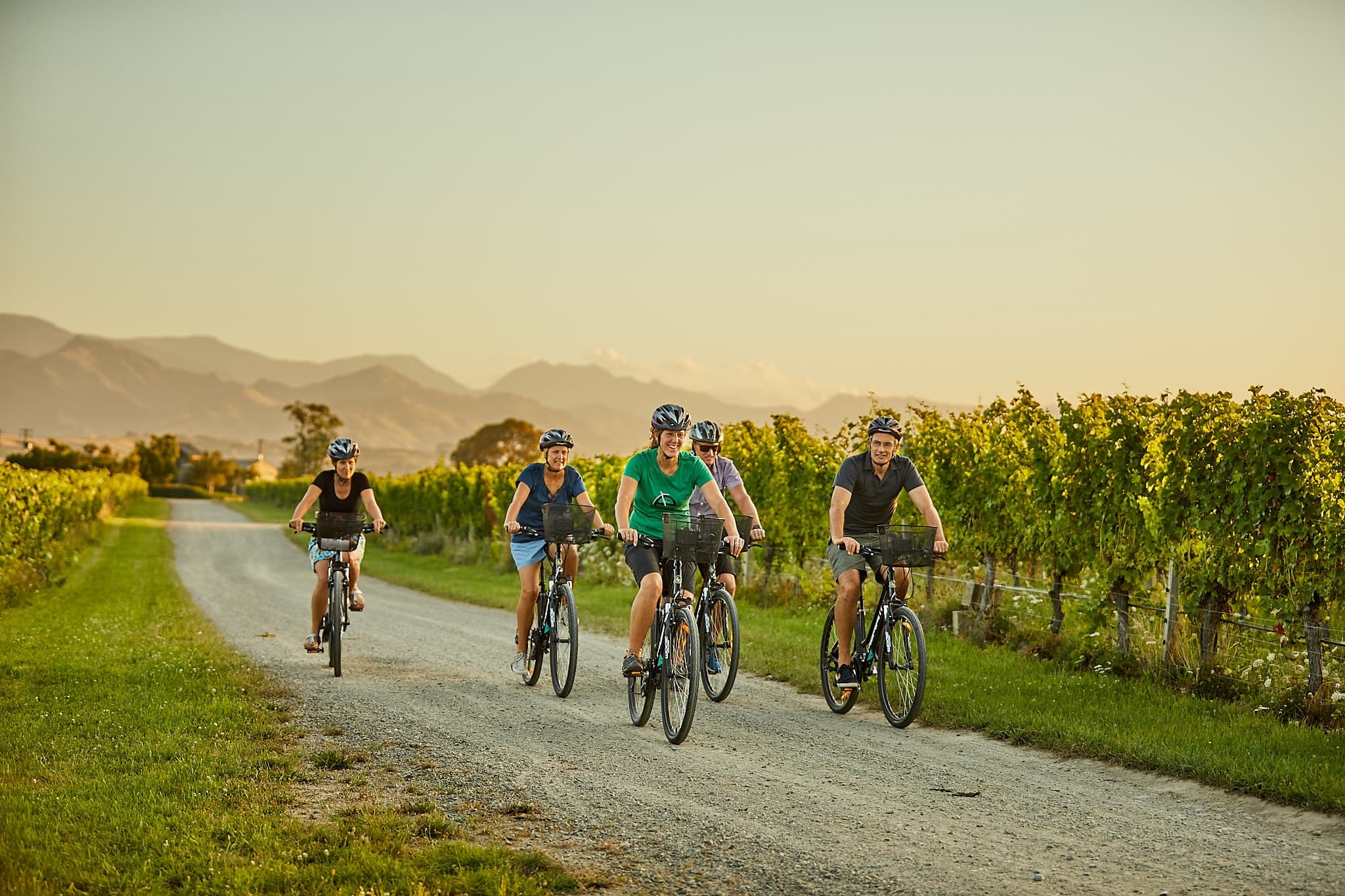 Explore Marlborough with a Deluxe Guided Half-Day Biking Wine Tour