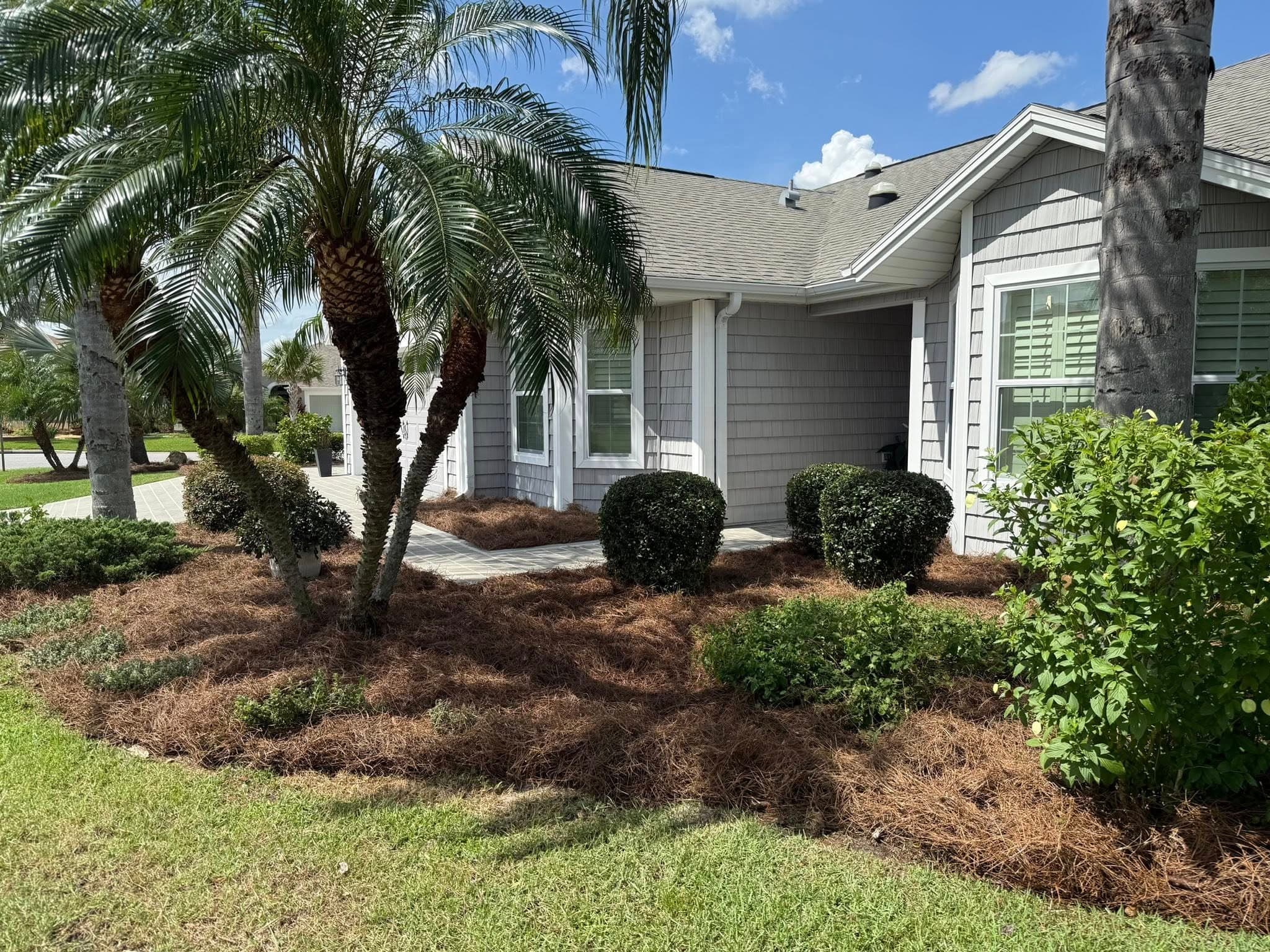 Effortless Pinestraw Installation for a Lush Florida Landscape in Summerfield