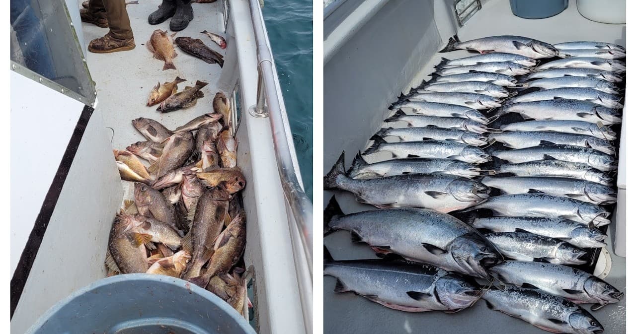 Combining Salmon & Rockfish Fishing with Predator Charters in Westport
