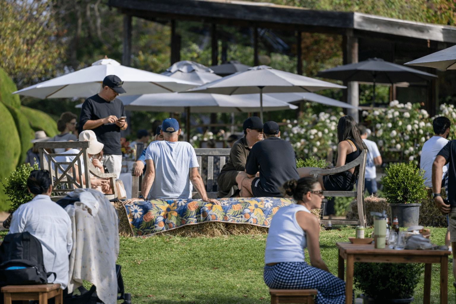 Mid-Summer Sounds at Ashcombe Maze: Pizza, Wine & Live Music in Shoreham