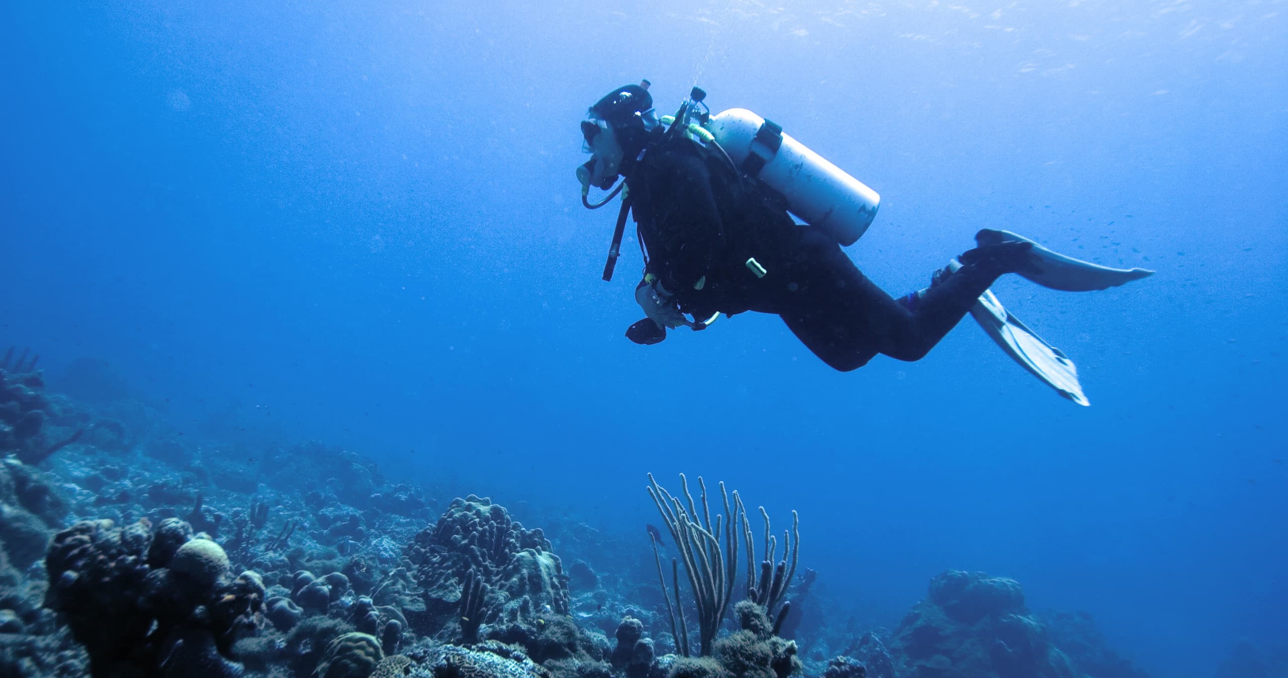 Scuba Works Blue Heron Bridge One Tank Air Dive