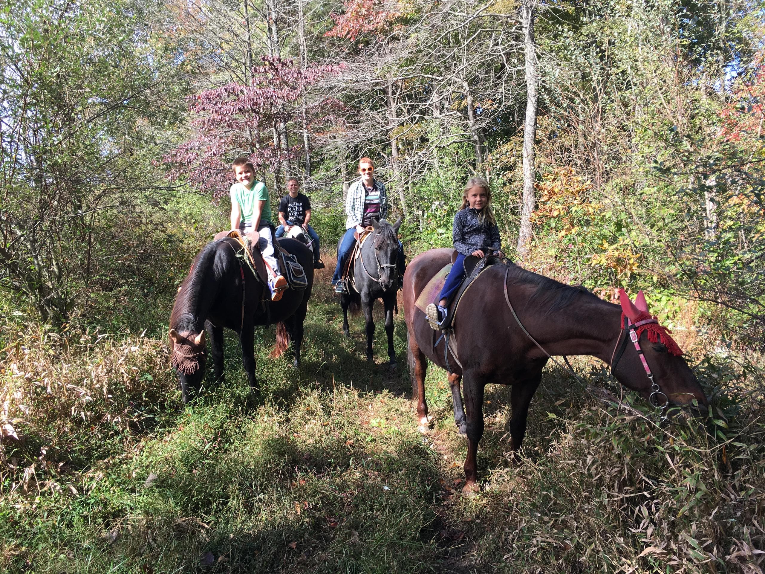 Four Seasons Trail Ride in New Plymouth, Ohio