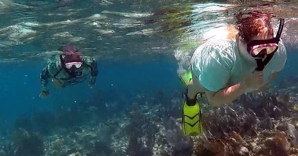 Snorkeling Adventures with Sand & Sea Key West Charters