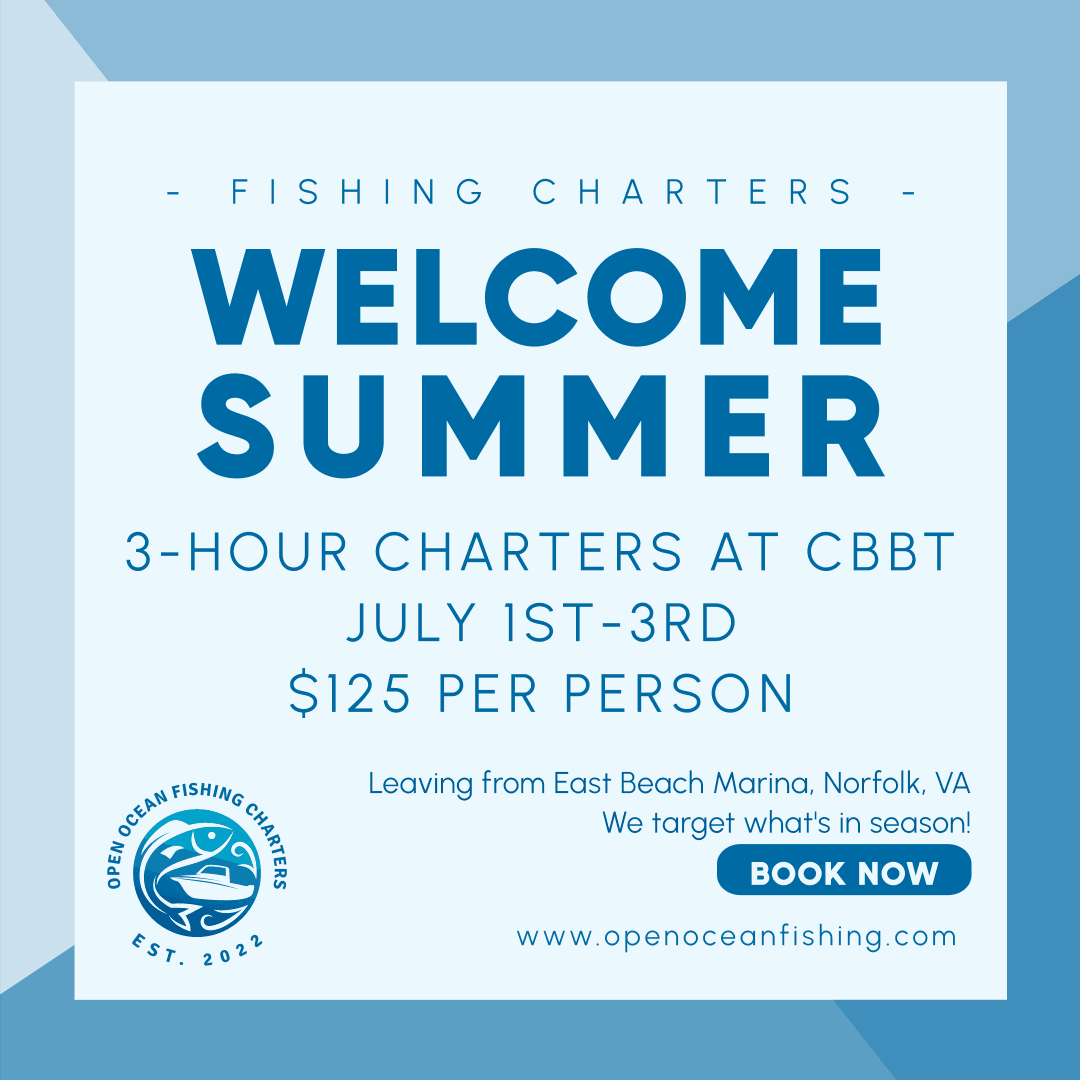 Fishing charter promotional poster advertising summer 3-hour trips