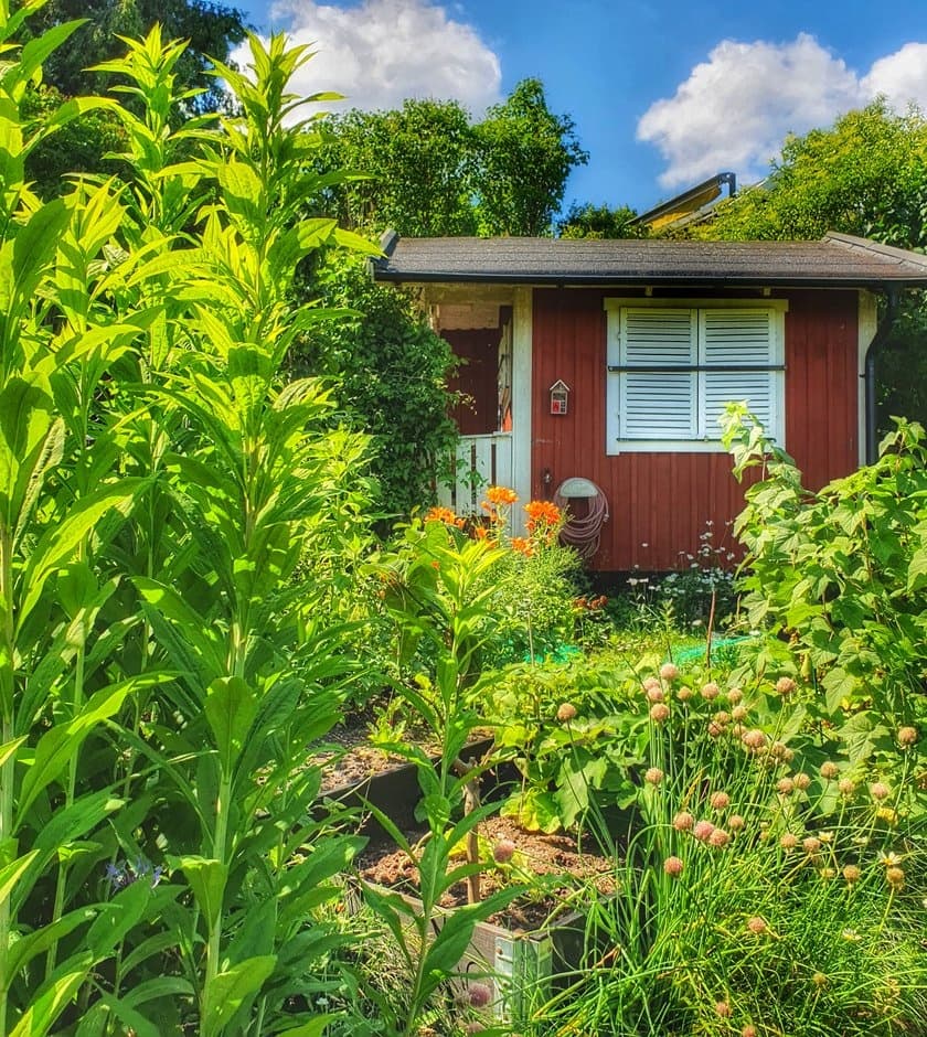 Urban Walking & Gardens Tour with Stockholm City Walks
