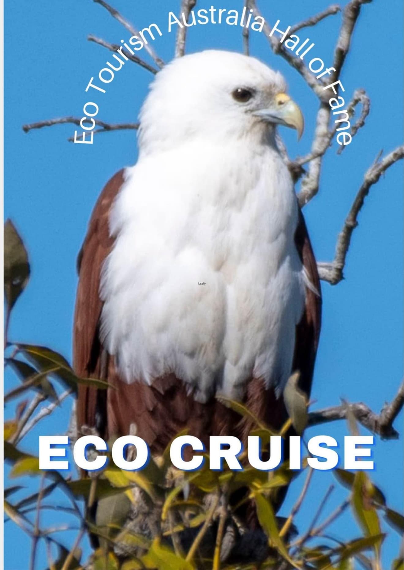 Water-Activities: Eco Cruise on Maroochy River