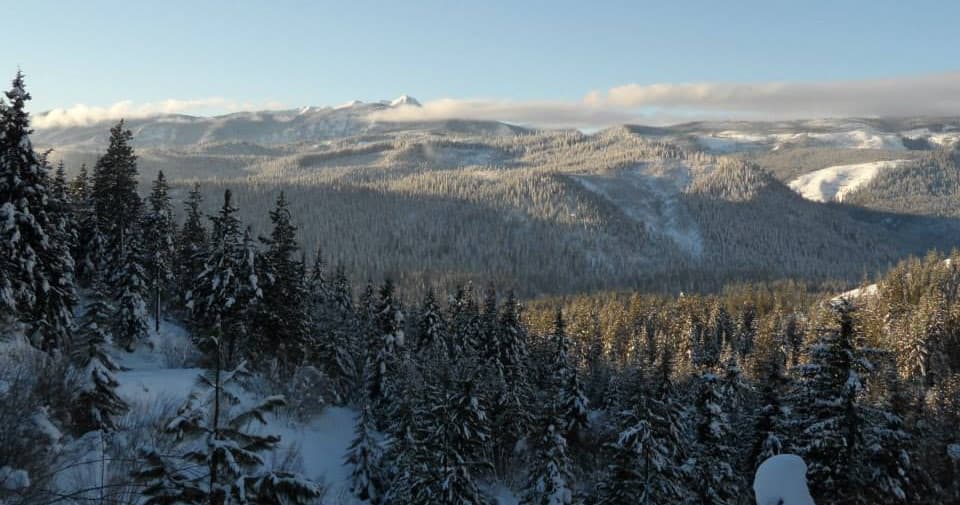 Wide alpine ridge and forest blanketed in snow, mountain panorama