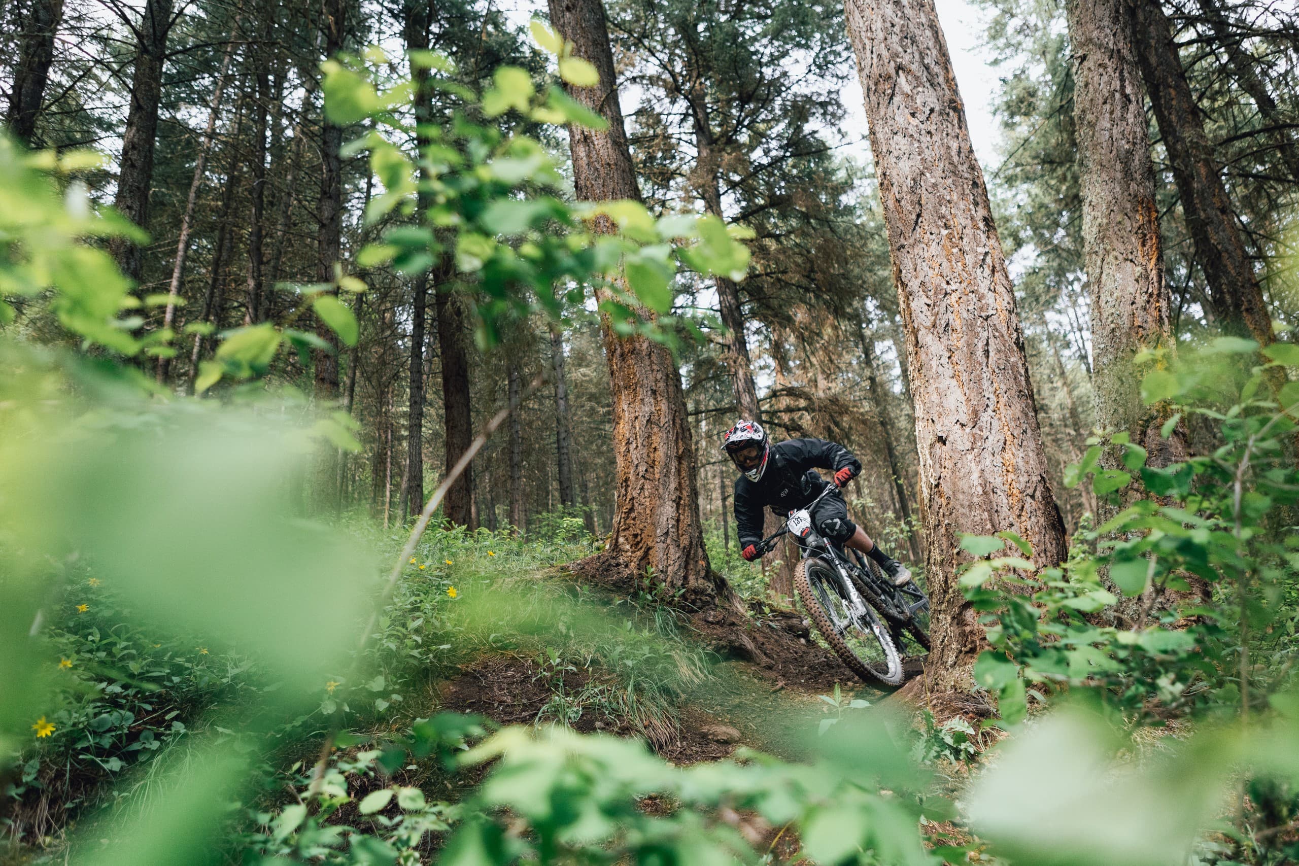 Beginner Mountain Biking at Harper Mountain: Guided Family Rides in Kamloops