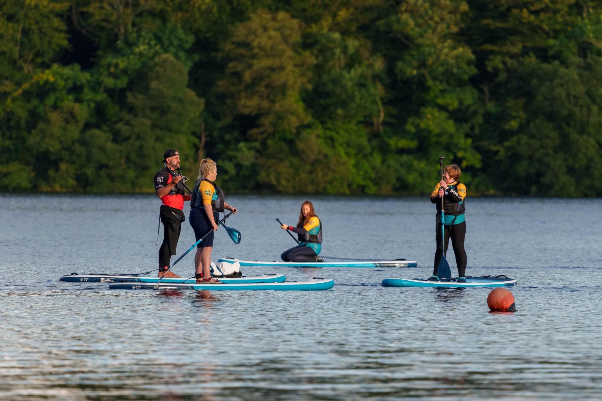 Standup paddleboarders on serene lake near forested shoreline