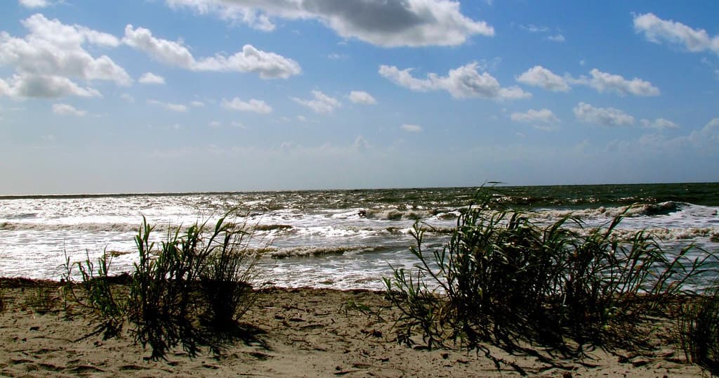 Explore Hilton Head Island on Two Wheels: The Ultimate 14-Day Bike Rental Experience