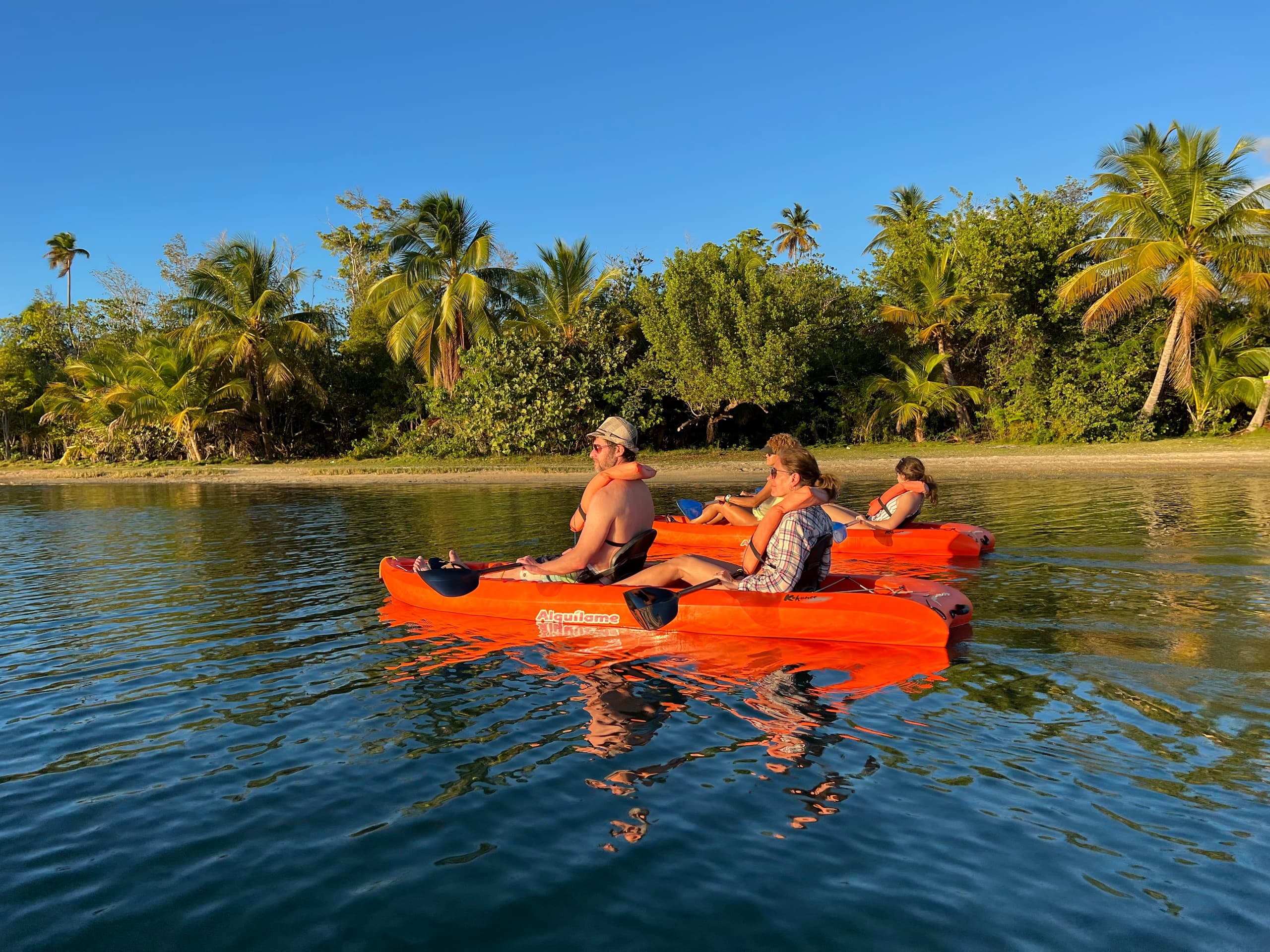 Group kayaking on calm tropical lagoon lined with palm trees