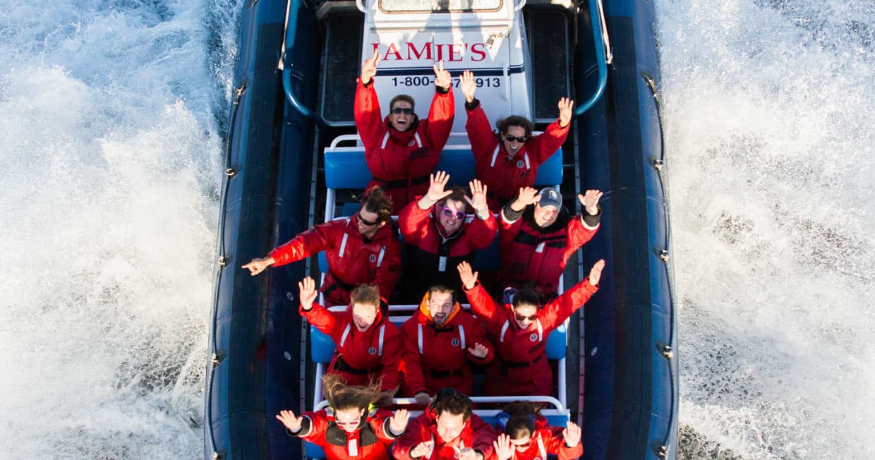 Wildlife & Water Activities with Jamie’s in Ucluelet