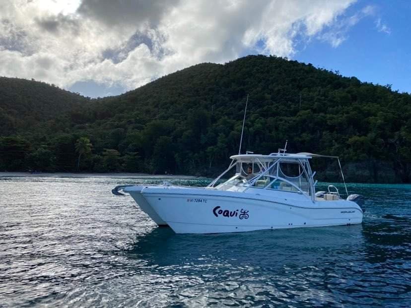 Fishing or charter boat anchored by green hillside at dusk
