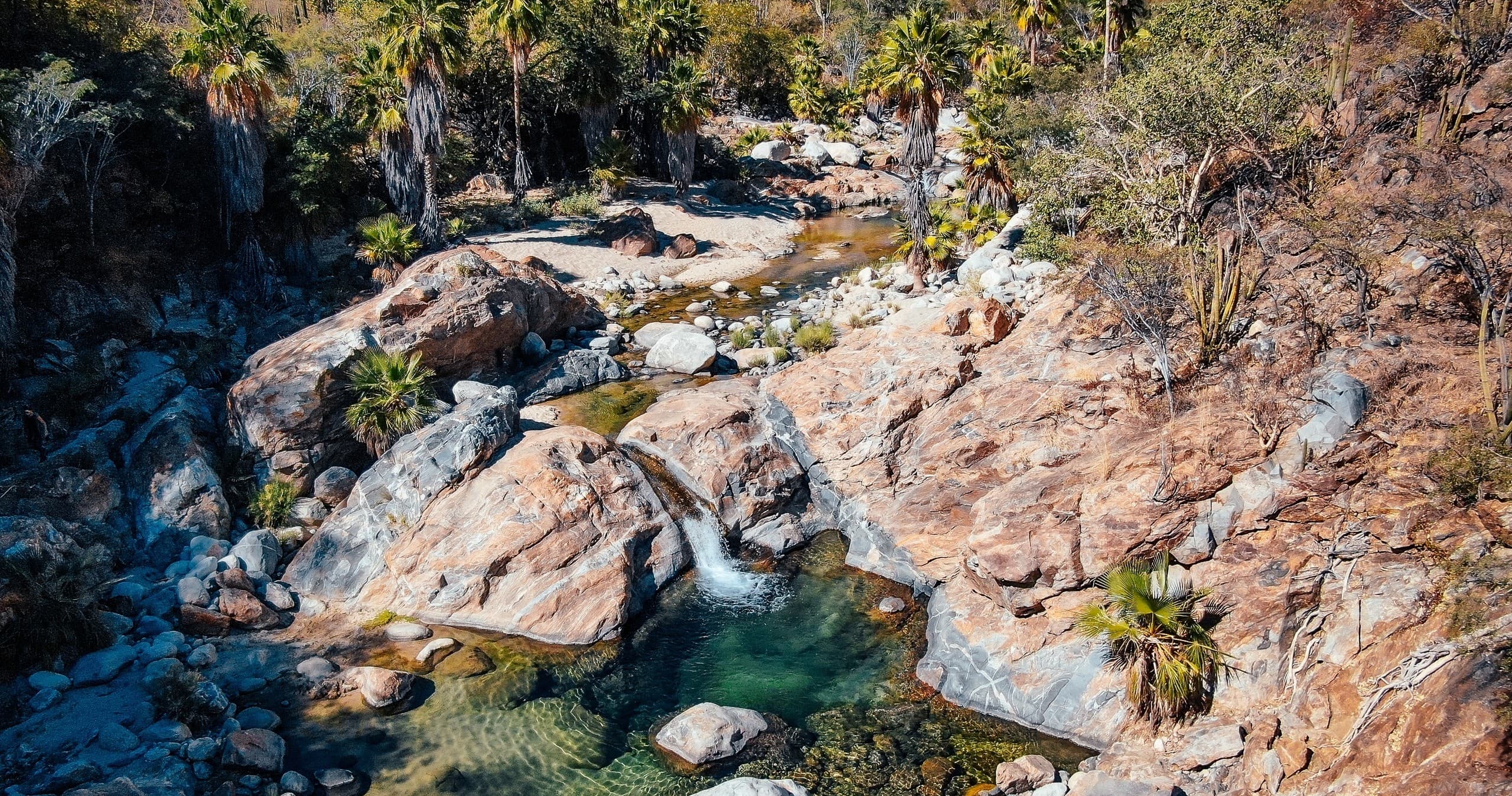 Land Adventures: Sierra de la Laguna Desert Oasis Hike by InCabo Travel