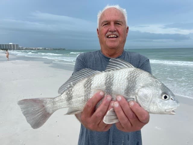 Shore-Smart Angling: Guided Beach Fishing Trips on Sarasota Gulf Coast photo 1