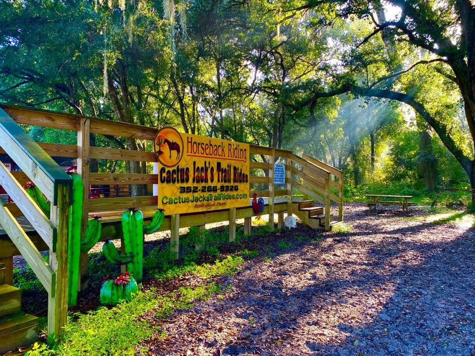 Explore Ocala’s Wilderness on Horseback: Cactus Jack’s Trail Rides Adventure