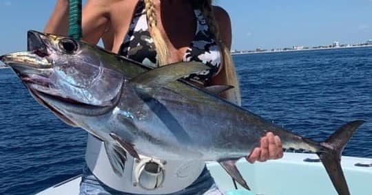 Eight Hour Private Charter Dolphin-Fishing in Fort Lauderdale