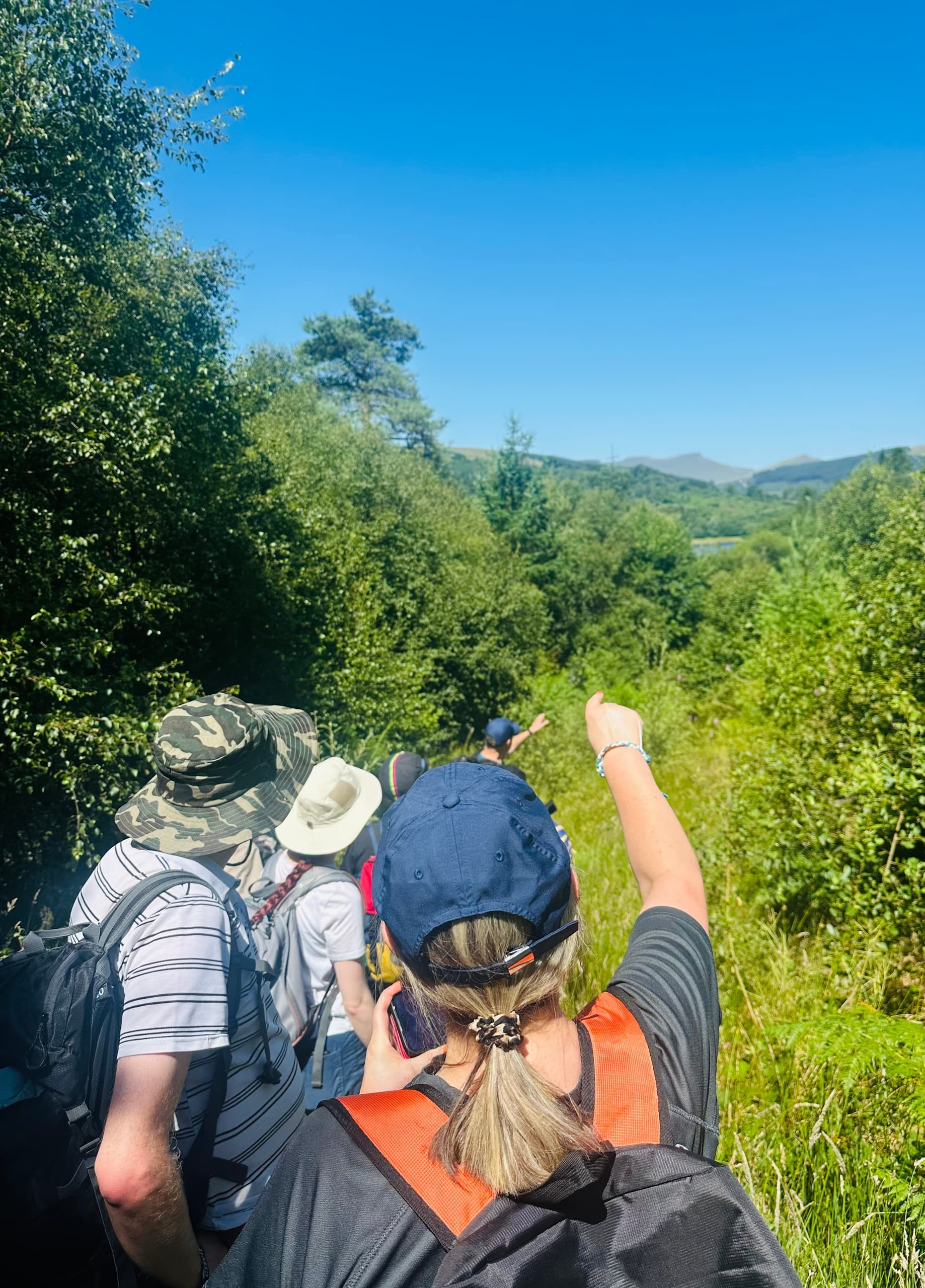 Train to Trig: Guided Brecon Mountain Railway Walk to an Ancient Ogham Stone photo 4