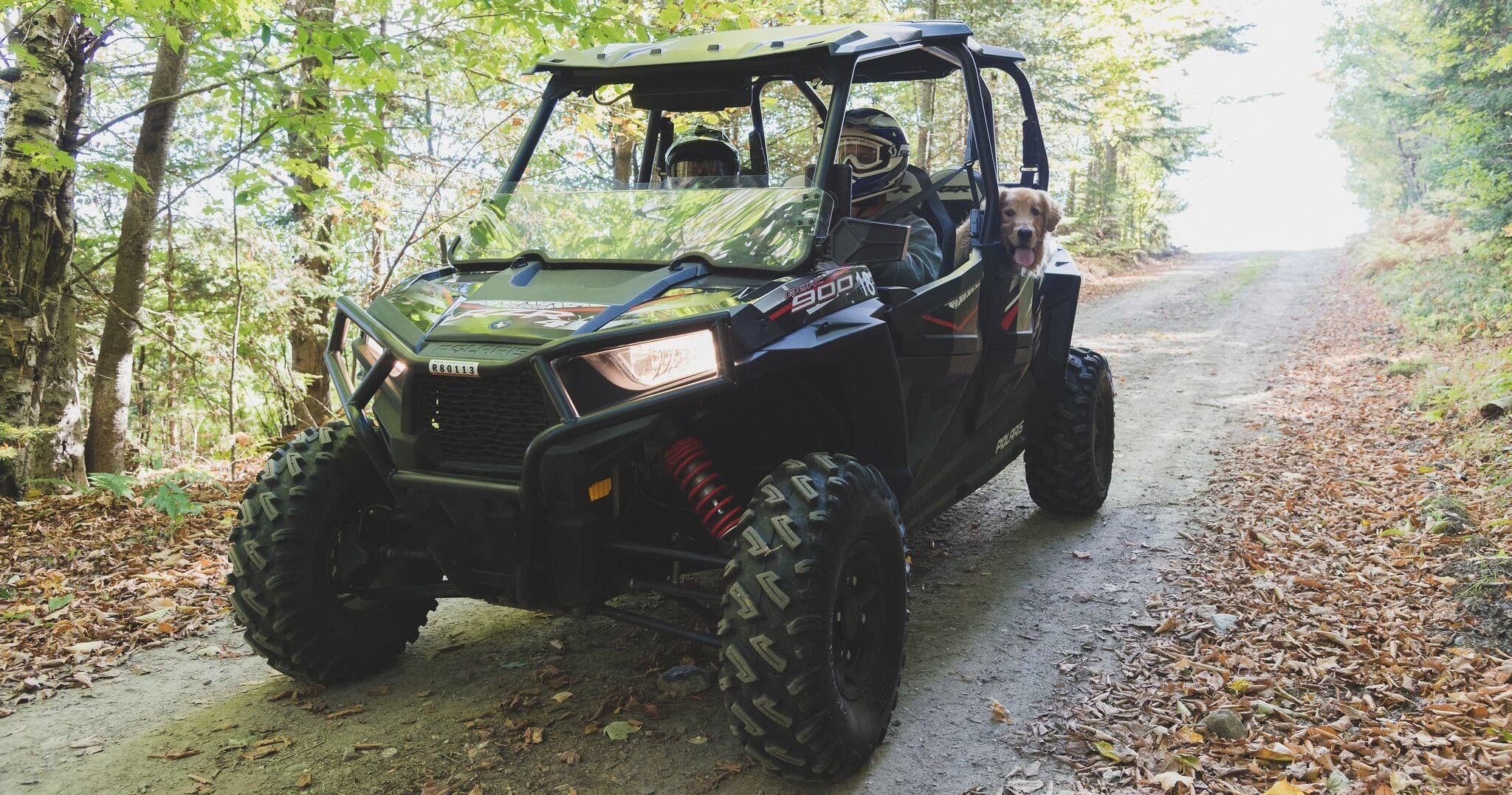 Side-by-side UTV driving on wooded trail through forest