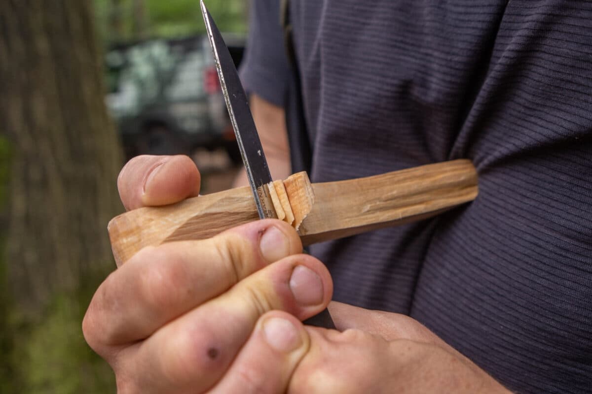 Six-Day Bushcraft Course in Leersum — Learn Fire, Shelter & Outdoor Cooking photo 1