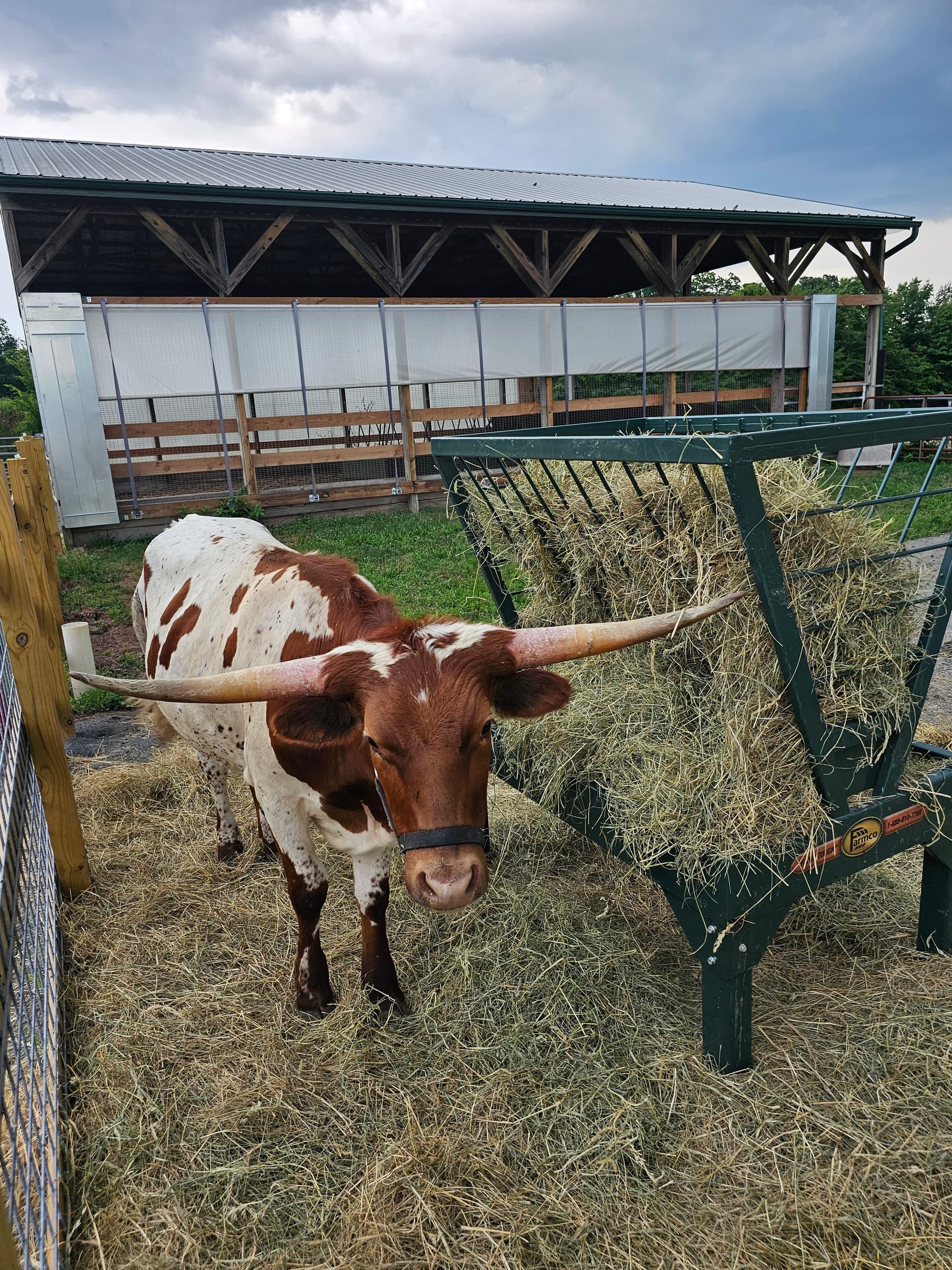 Hands-On Farm Fun at Abma's Farm Petting Zoo, Hillsborough